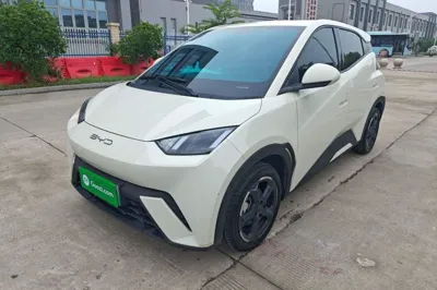 BYD Seagull · 2023 год