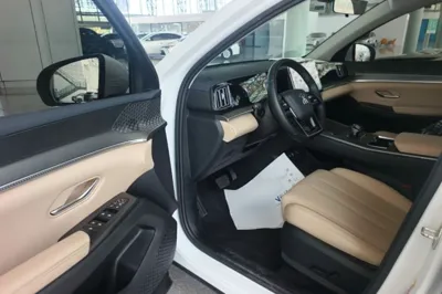 BYD Song Pro New Energy 2025, 33800 км, за 12881 USD - фото 18
