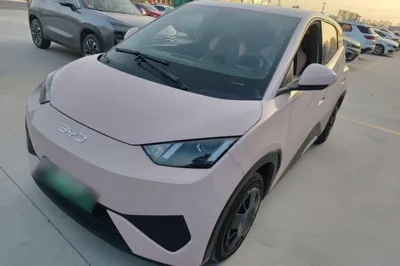 BYD Seagull · 2025 год