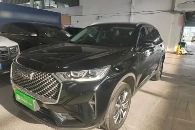 Haval H6 · 2021 год