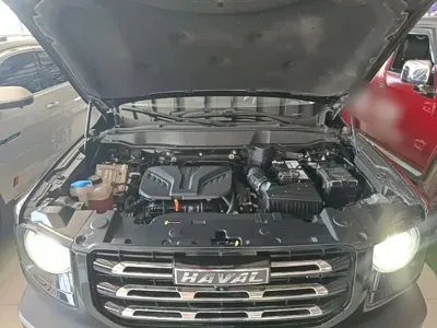 Haval Big Dog 2022, 82200 км, за 10196.98 USD - фото 20