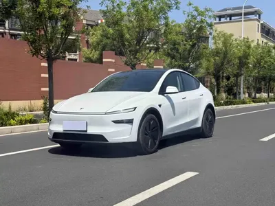 Tesla Model Y · 2025 год