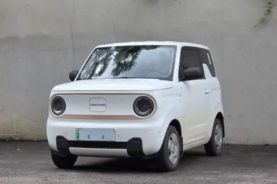 Geely Galaxy Panda · 2024 год