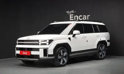 Hyundai Santafe · 2024 год