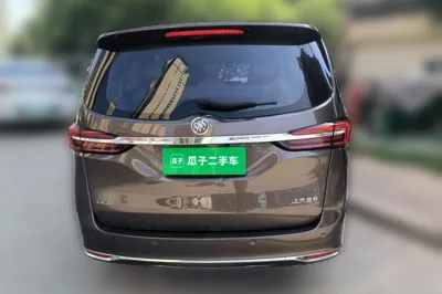 Buick GL8 2023, 97100 км, за 16491 USD - фото 6
