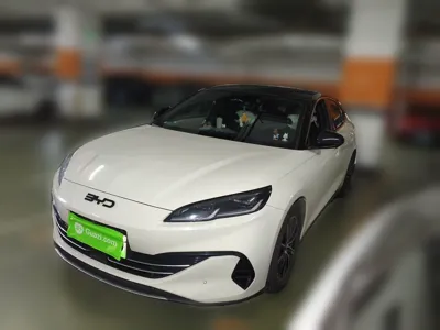 BYD Seal 06 New Energy · 2024 год