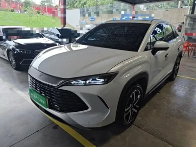 BYD L DM-i · 2024 год