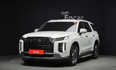 Hyundai Palisade · 2024 год