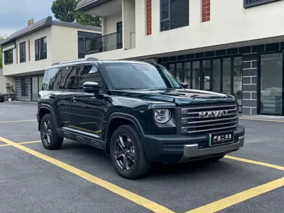 Haval Menglong New Energy 2024, 30000 км, за 18369.02 USD