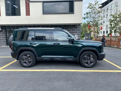 Haval Menglong New Energy 2024, 30000 км, за 18369.02 USD