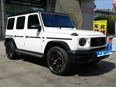 Mercedes-Benz G-Class 2023, 25000 км, за 242098.77 USD