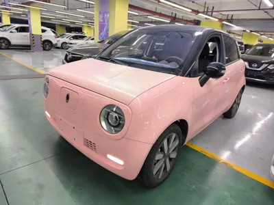 Euler Black Cat · 2020 год