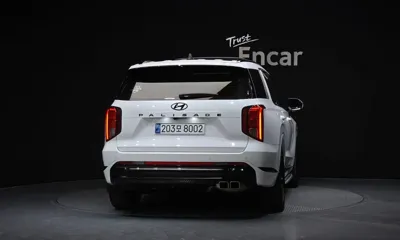 Hyundai Palisade 2024, 48034 км, за 32097.36 USD