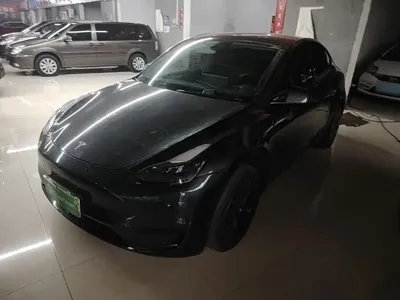Tesla Model Y 2024, 53000 км, за 26102.94 USD