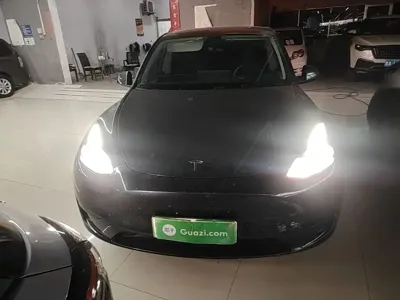 Tesla Model Y 2024, 53000 км, за 26102.94 USD