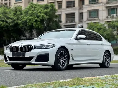 BMW 5 Series New Energy · 2023 год