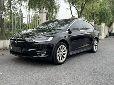 Tesla Model X · 2019 год