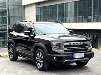 Haval Big Dog 2024, 33000 км, за 9929.2 USD