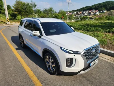 Hyundai Palisade · 2021 год
