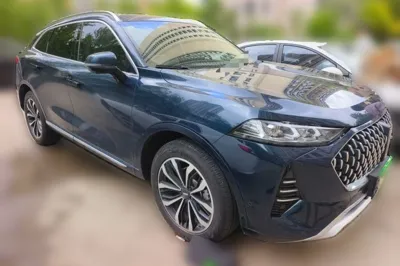 WEY Mocha 2021, 36100 км, за 12619 USD