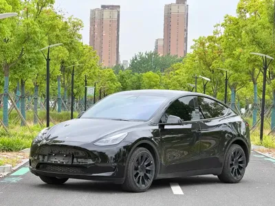 Tesla Model Y · 2023 год