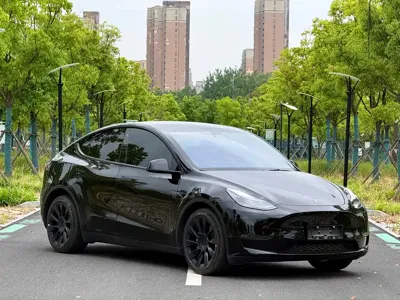 Tesla Model Y 2023, 60000 км, за 24650.06 USD