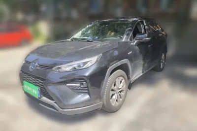 Toyota Wildlander · 2020 год