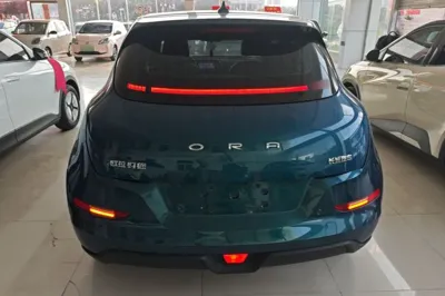 ORA Good Cat 2021, 64700 км, за 10235 USD