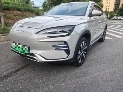 BYD PLUS New Energy · 2023 год