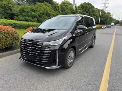 大通 G10 · 2025 год