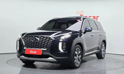 Hyundai Palisade · 2019 год
