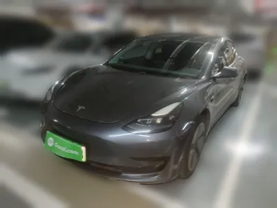 Tesla Model 3 · 2021 год