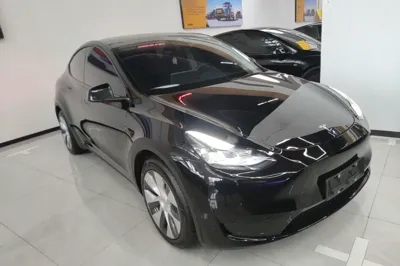 Tesla Model Y 2022, 60000 км, за 25656 USD
