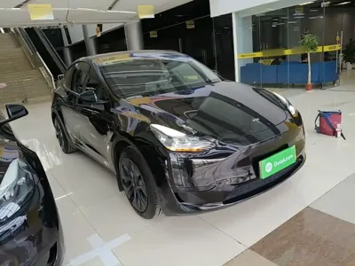 Tesla Model Y 2024, 49900 км, за 26206.08 USD