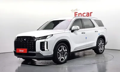 Hyundai Palisade · 2024 год