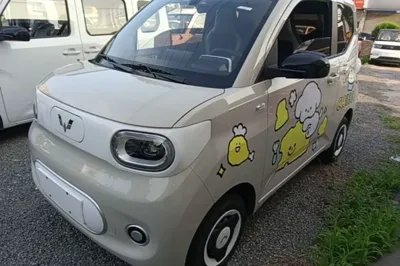 Wuling Hongguang MINIEV · 2024 год