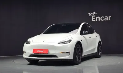 Tesla Model Y · 2021 год