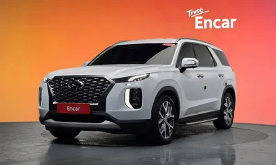 Hyundai Palisade · 2019 год