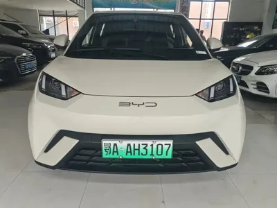 BYD Seagull 2023, 50000 км, за 6400.7 USD