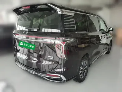 Hongqi Hongqi HQ9 PHEV 2024, 6100 км, за 30577.81 USD - фото 12