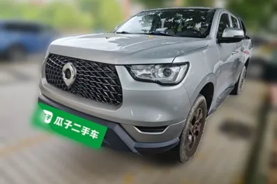 Great Wall Poer · 2021 год