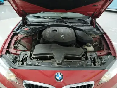 BMW 2 Series (Import) 2018, 69300 км, за 9240.55 USD - фото 10