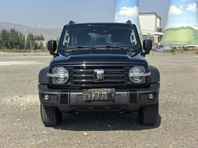 Tank Tank 300 2024, 20000 км, за 23579.95 USD