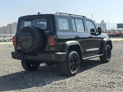 Tank Tank 300 2024, 20000 км, за 23579.95 USD