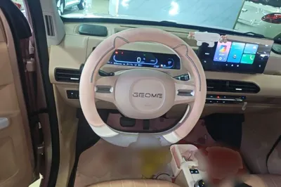 Geely Galaxy Panda 2023, 24100 км, за 6058 USD - фото 13