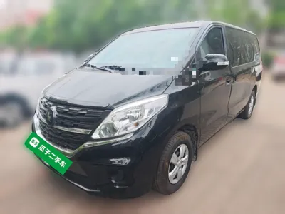 Forthing Lingzhi PLUS · 2024 год