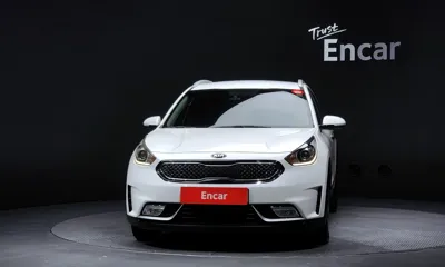 Kia Niro 2018, 132708 км, за 7097.74 USD