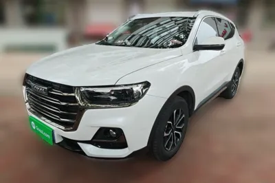 Haval H6 · 2021 год