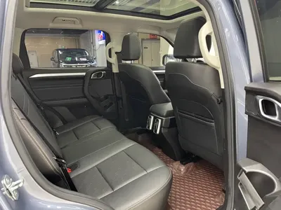Haval Big Dog 2023, 51000 км, за 11640.06 USD - фото 10