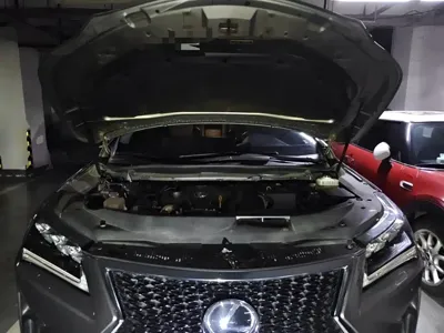 Lexus RX 2017, 73800 км, за 21232.67 USD - фото 11